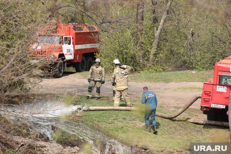 Площадь лесных пожаров в ЯНАО сократилась за неделю в три раза