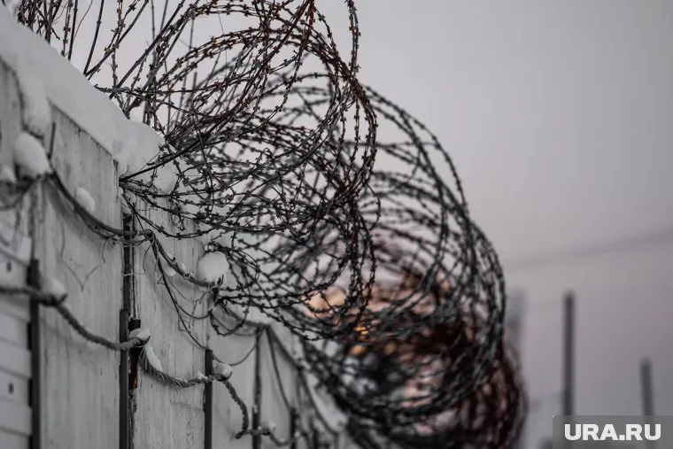 Правозащитники рассказали о шести эпизодах сексуального насилия над заключенными