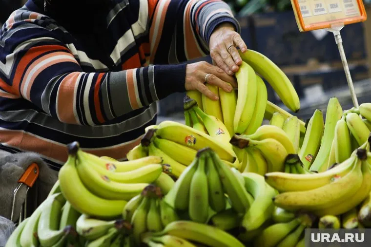 Цены на бананы могут достигнуть «психологического порога» в 200 рублей