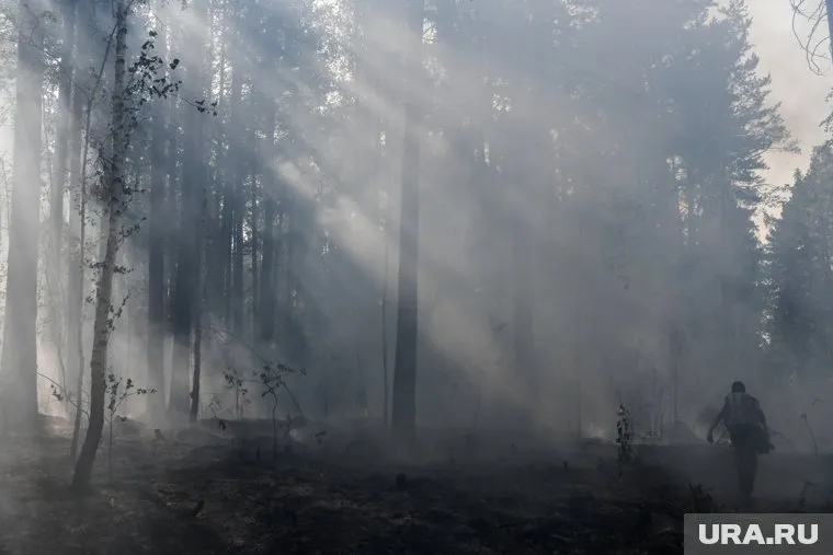 В ЯНАО действует 17 природных пожаров