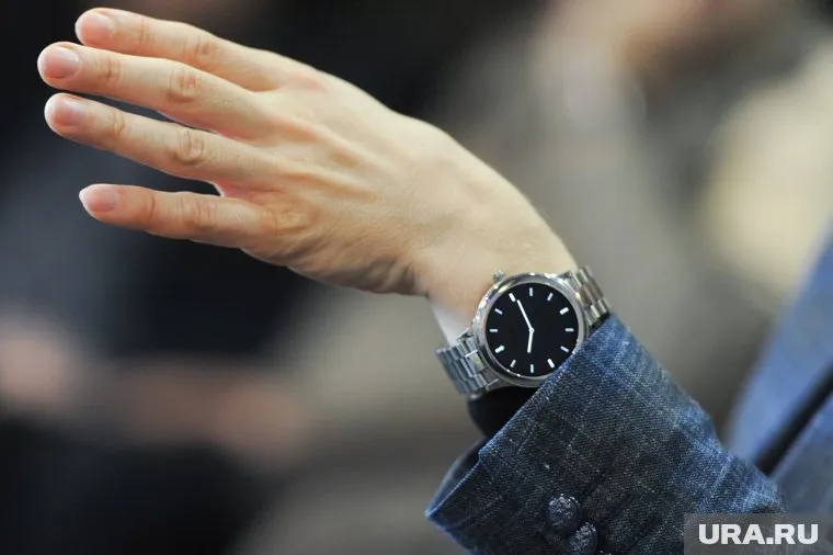 Единороссы в Госдуме не оценили инициативу коллеги