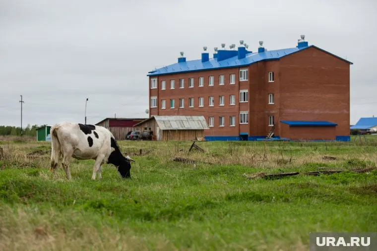 В поселке Сытомино новый мэр, и уже успел начислить себе премию в 150 тысяч рублей