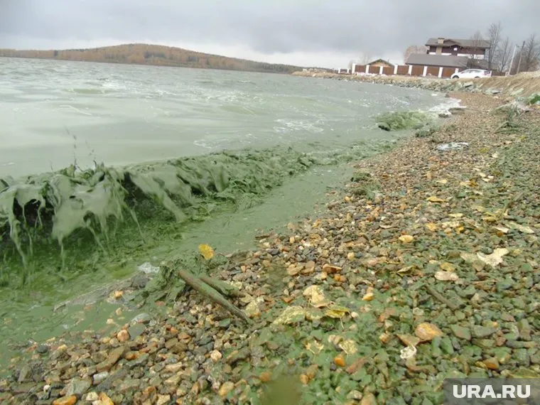 Черноисточинский пруд снова переживает экологическую катастрофу