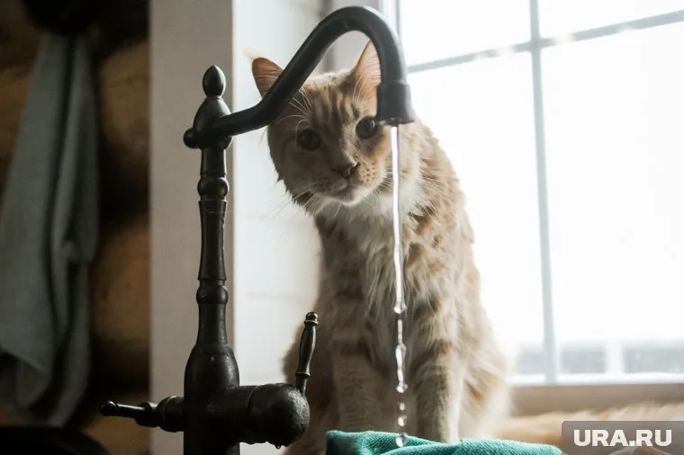 Воду перекрыли