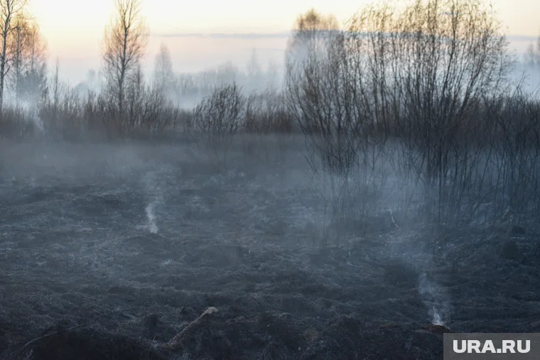 Огонь с травы перекинулся на дом и надворные постройки (архивное фото)