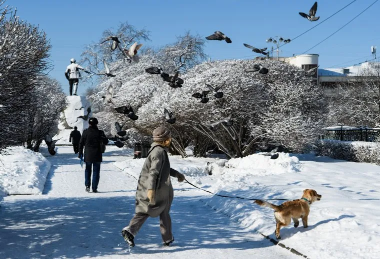 Сквер у памятника Якову Свердлову. Екатеринбург