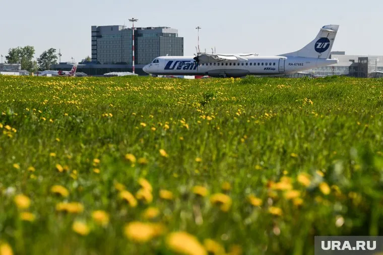 Роспотребнадзор готовит коллективный иск к авиаперевозчику