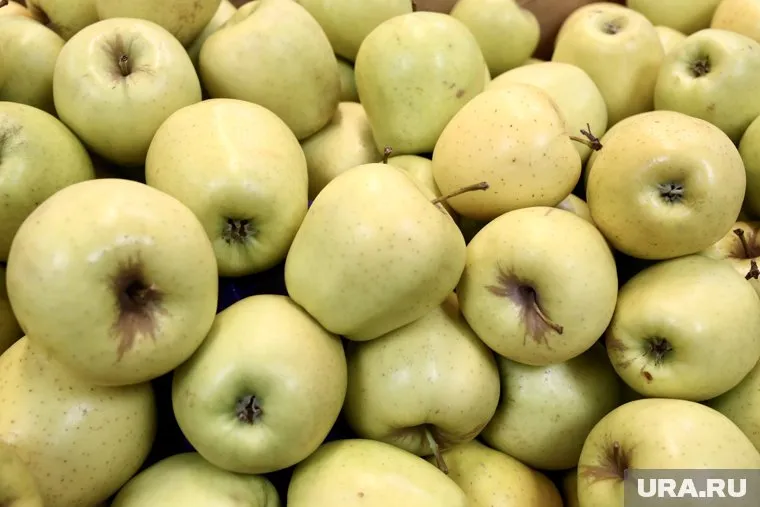 Яблоки богаты витамином C, который способствует снижению риска появления рака