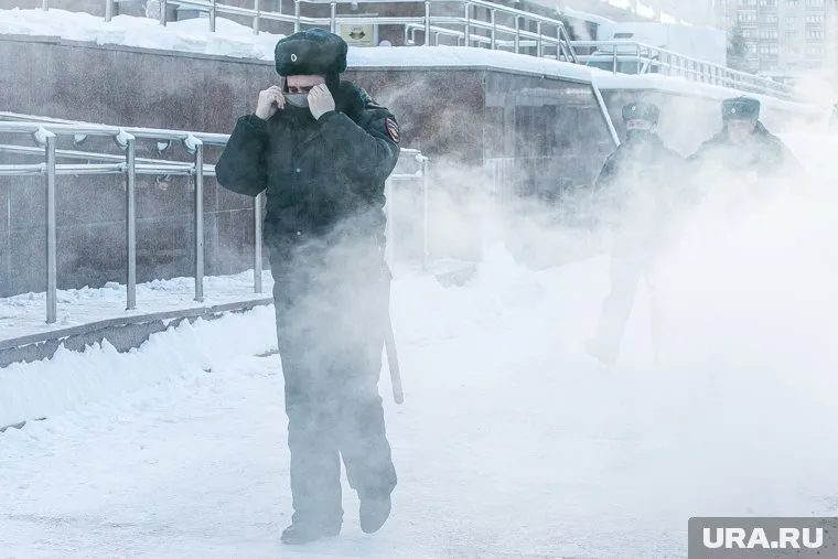 Женщина нецензурной бранью унизила честь и достоинство полицейского