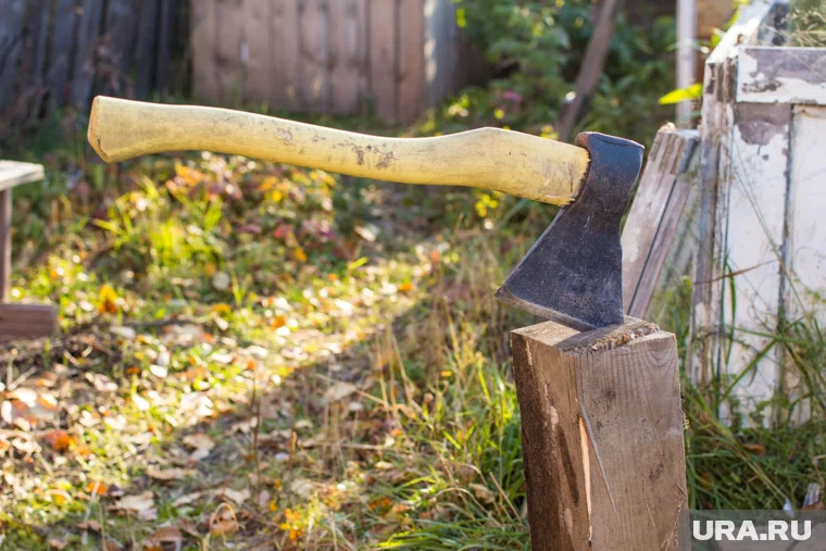В Тюменской области появился необычный вид туризма для молодежи поколения Z