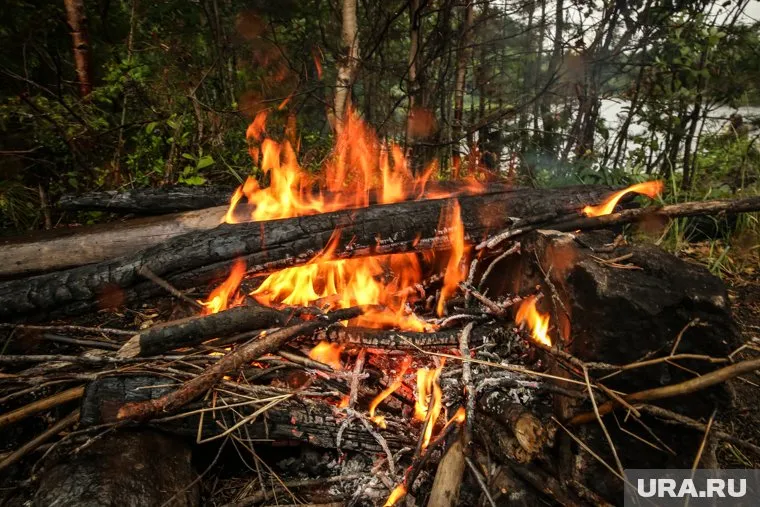 За костер, который приведет к возгоранию, придется заплатить огромные деньги