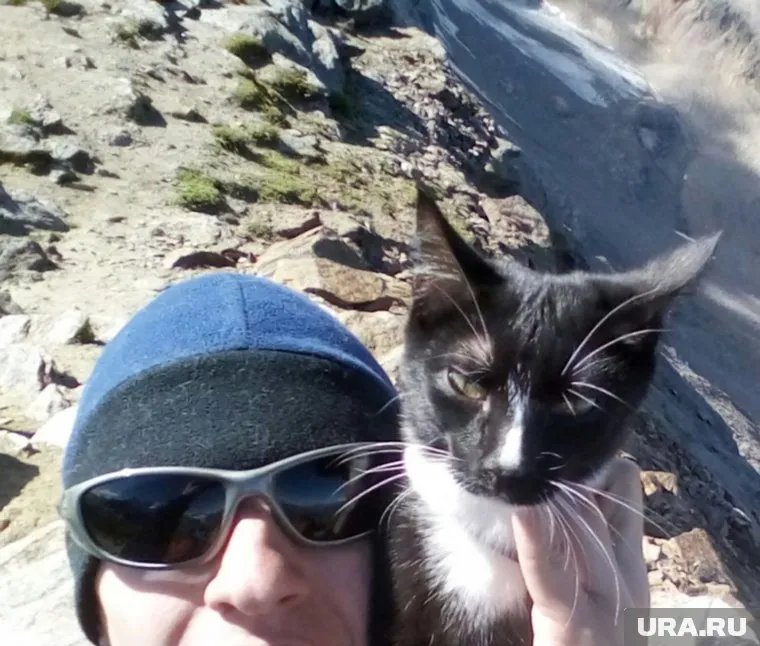 Андрей Останин и его кот забрались на высоту 5 тысяч метров