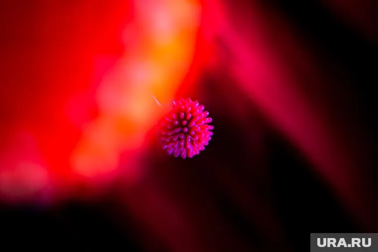 За последние сутки коронавирус нашли у жителей 52 регионов России