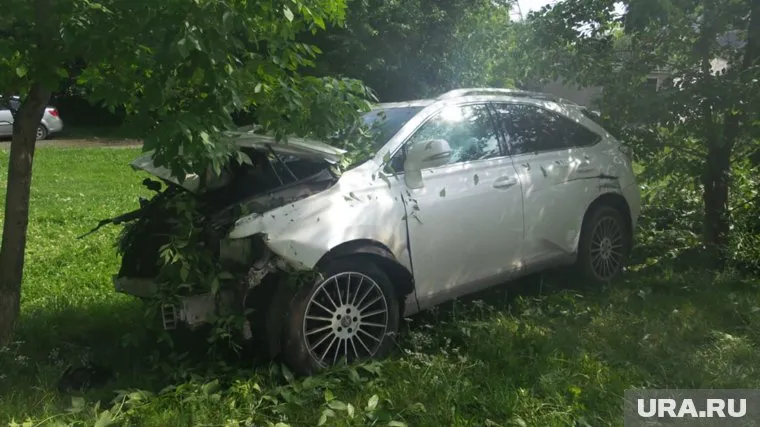 Только четвертое дерево остановило иномарку