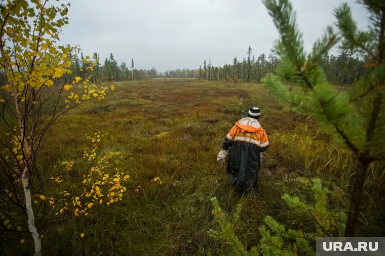 Глава Минздрава Омской области Александр Мураховский пропал во время охоты в тайге