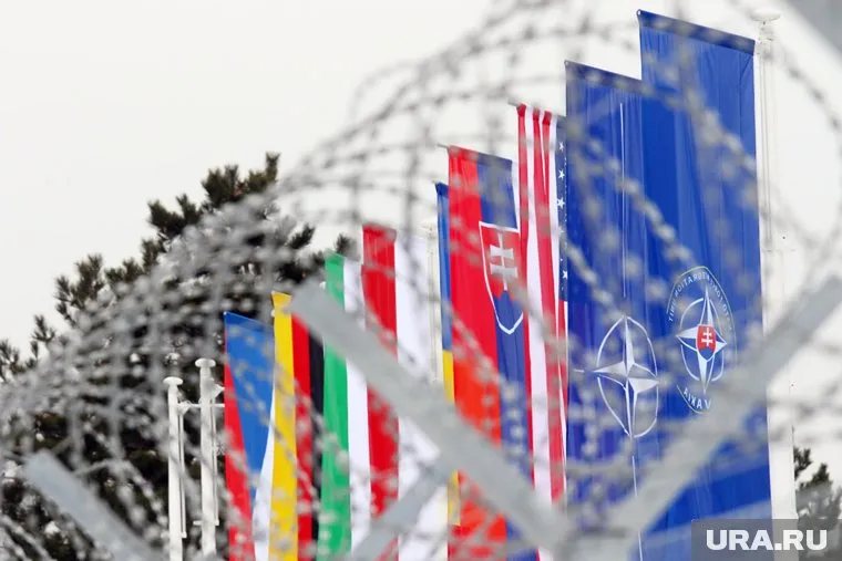 НАТО может найти в Азии множество новых союзников, пишет Bloomberg