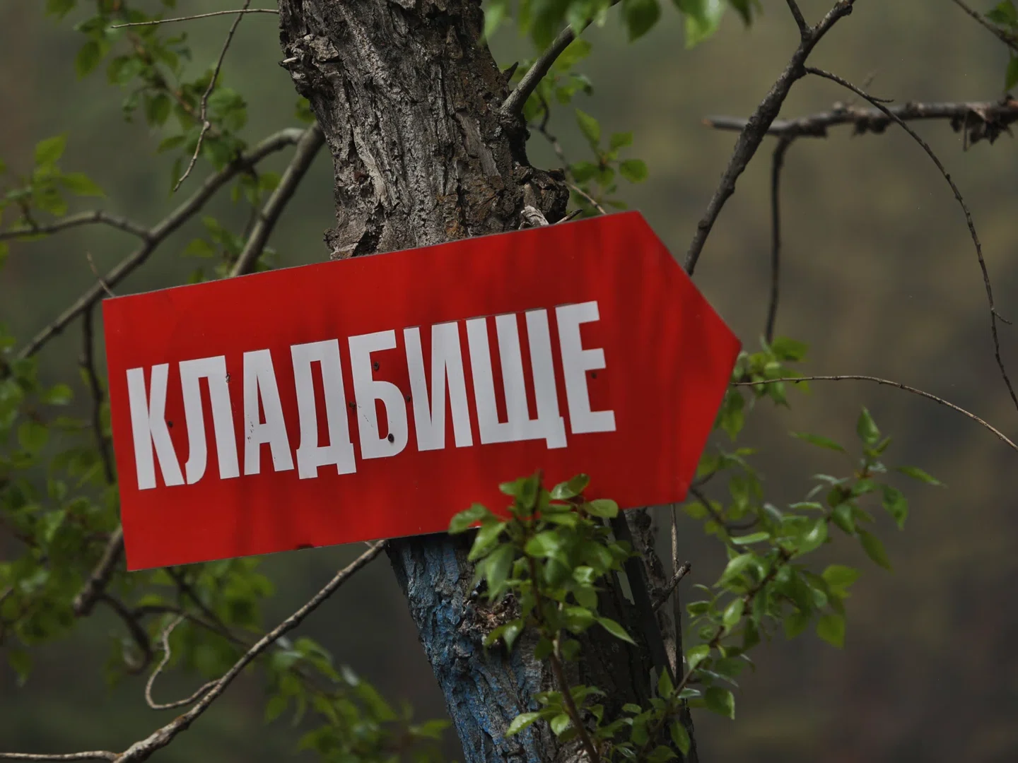 В собственности мэрии Кургана появилось новое кладбище