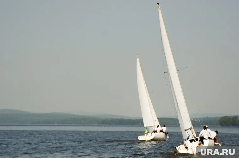 В состязании приняли участие несколько парусников
