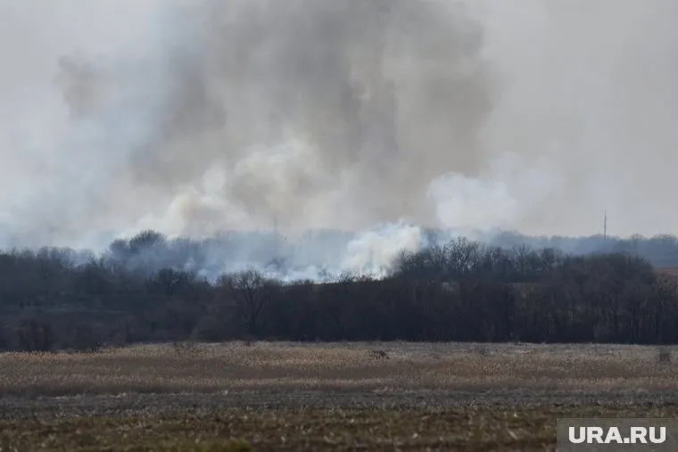 Владимир Рогов подтвердил информацию о взрывах в Мелитополе