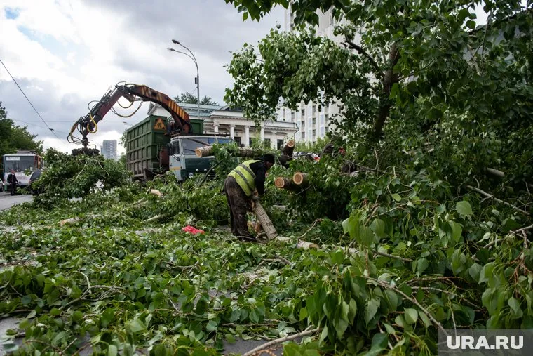 В Пермском крае прокуратура проводит проверку после урагана (архивное фото)