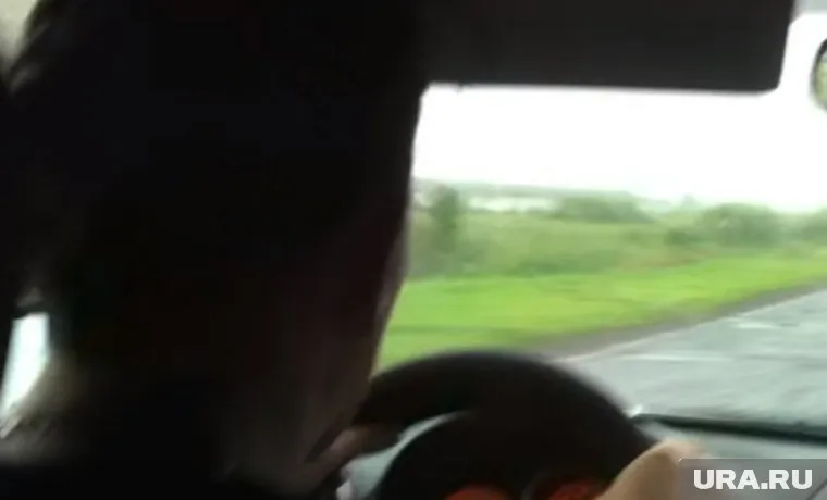 Водитель намерен и дальше возить людей бесплатно