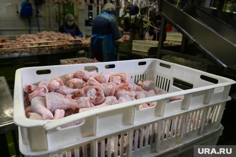 В мясе птицы обнаружили опасное количество бактерий