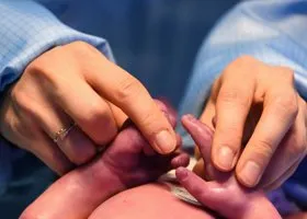 Фотография из галереи