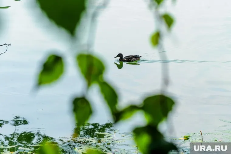 Курорт находится на берегу озера Большой Еланчик