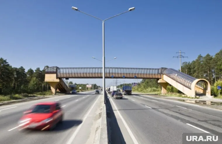 На участке планируют построить два надземных перехода.