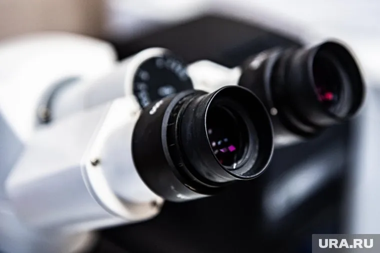 Для лечения коронавируса подходят водоросли