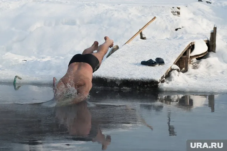 "Моржей" решили прогнать с тюменского озера Кривого (архивное фото)
