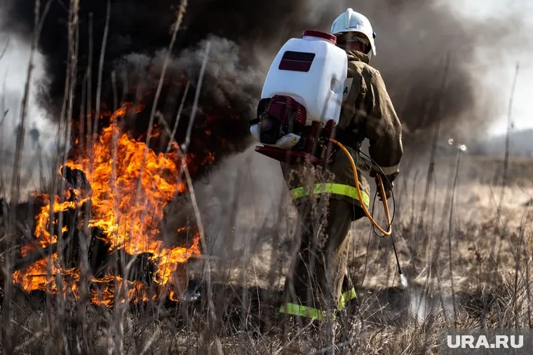 Площадь пожара в Ялтинском заповеднике увеличивается (фото из архива)
