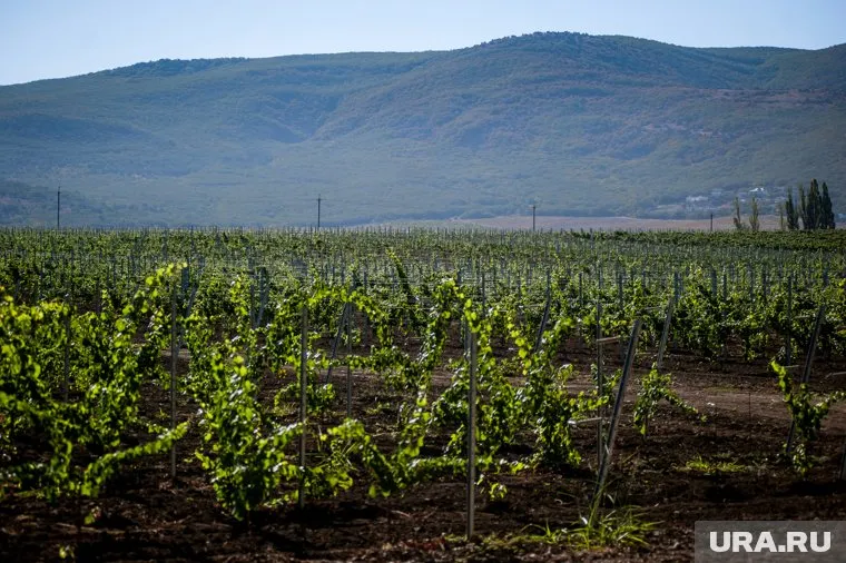 Турция не признала присоединение Крыма, но готова к стратегическому союзу с Россией