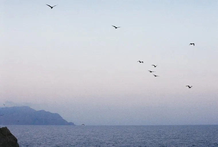 Над Черным морем средства ПВО перехватили и уничтожили пять украинских дронов (фото из архива)