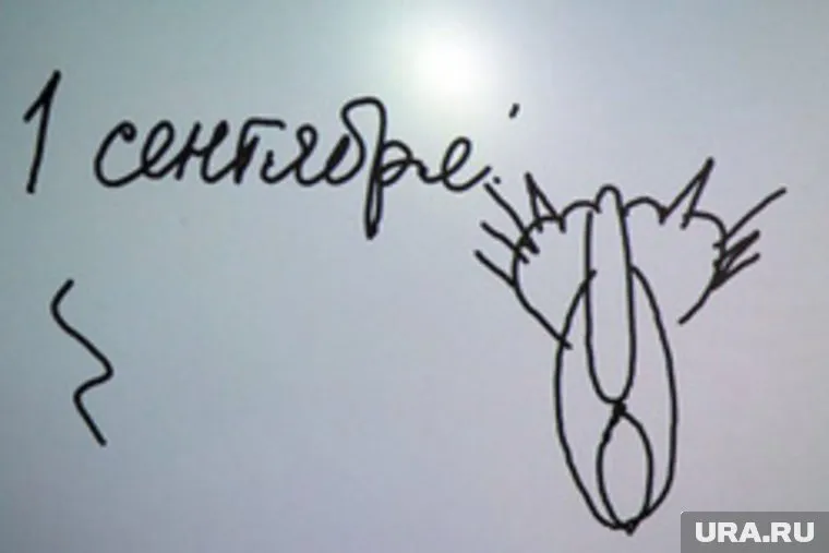 "Кошка. Вид сзади" президент рисовал в курганской школе в 2013 году