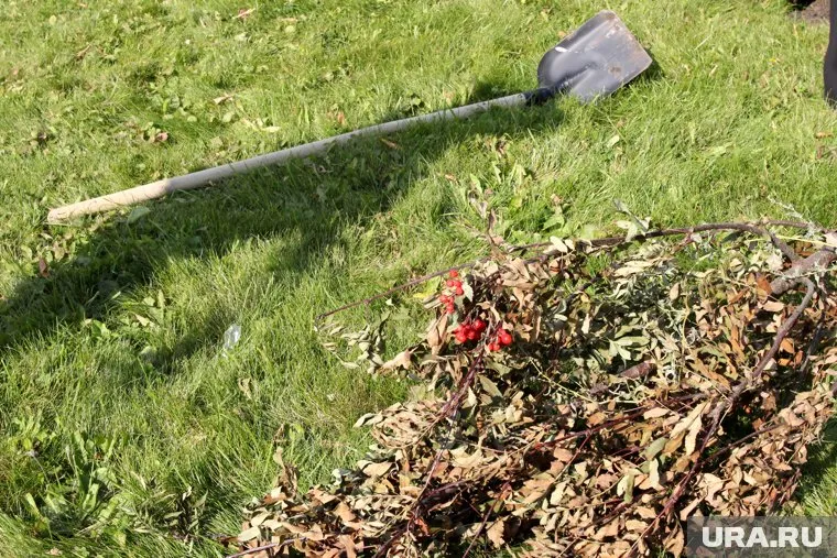 Мужчина избил старушку лопатой