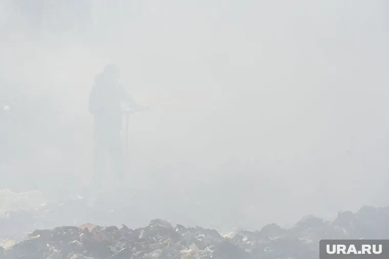 Площадь пожара составила 3 тысячи кв. м.