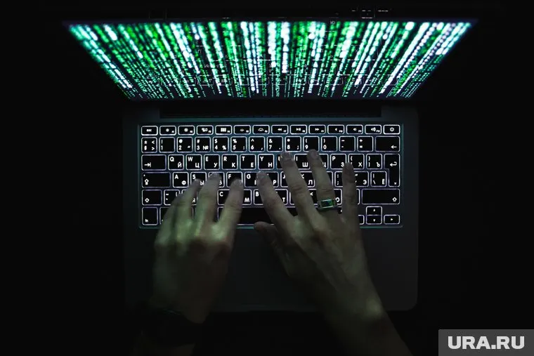 В Перми раскрыто менее четверти преступлений в интернете