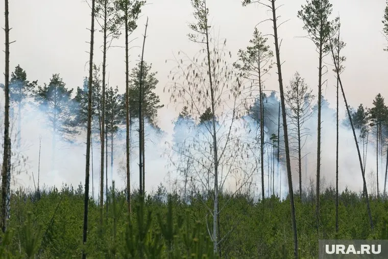 Специалисты Роспотребнадзора проведут заборы проб воздуха