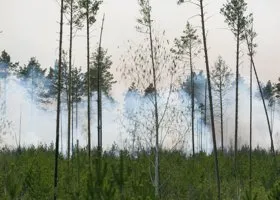 Фотография из галереи