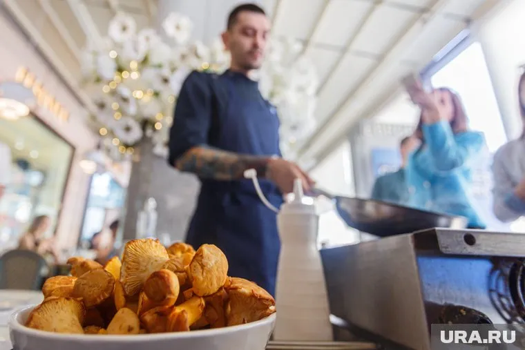 Поесть лисички можно до 15 августа в 72 заведениях области