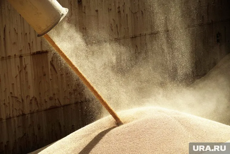 72 вагона пшеницы предназначались для кормления сельскохозяйственных животных