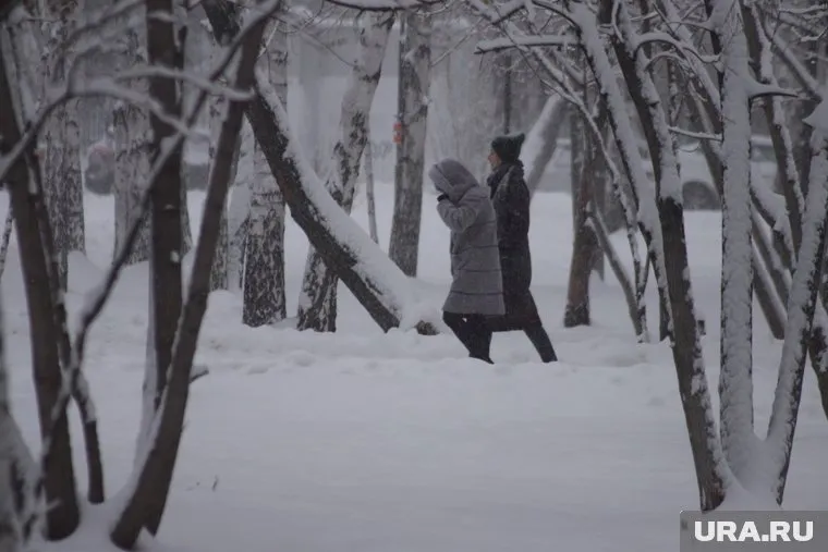 Синоптики прогнозируют в ЯНАО туман, метель и ветреную погоду
