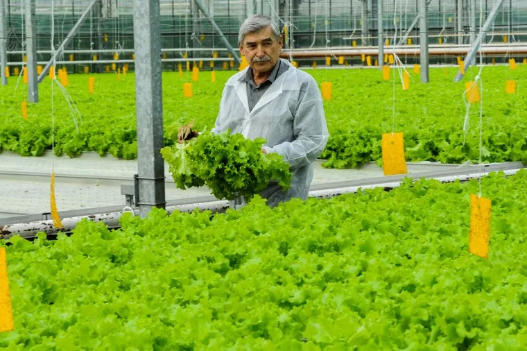 Агрокомплекс Чурилово. Челябинск