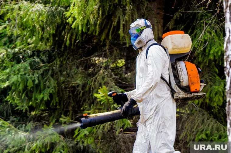 Резкий скачок накануне произошел из-за вспышки COVID-19 в больнице