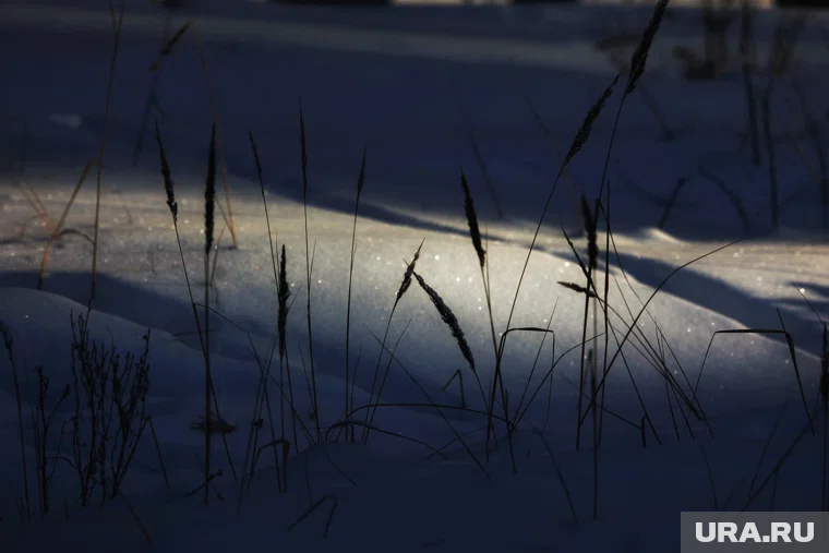 Приметы и поверья 8 октября