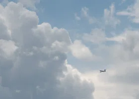 Фотография из галереи