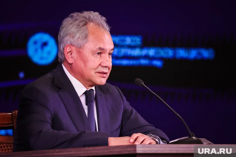 Шойгу рассказал о целях украинских атак дронами территорий РФ