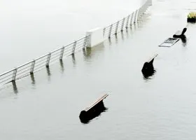 Фотография из галереи