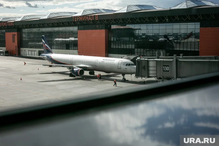 Пилотный проект в Шереметьево стартует 1 июня 2026-го